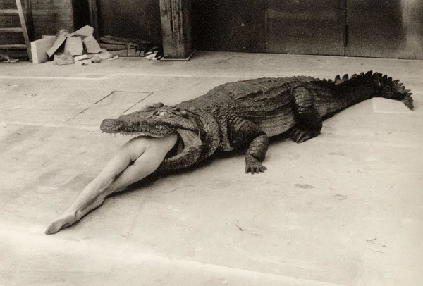 Helmut Newton x Tyler Shields